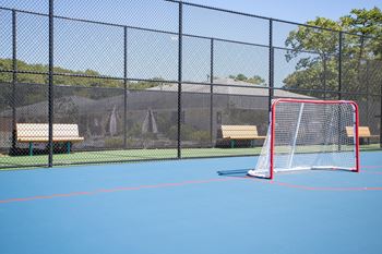 Hockey net